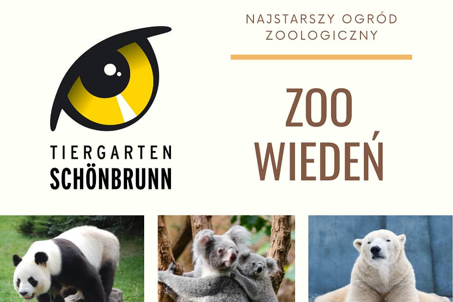 Schönbrunn Zoo wiedeń z dzieciem doradca noszenia kraków natalia rączka